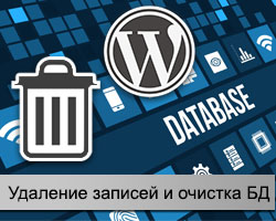 Очистка данных в WordPress
