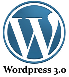 wordpress 3.0