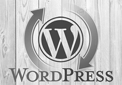 Обновление WordPress плагинов и тем