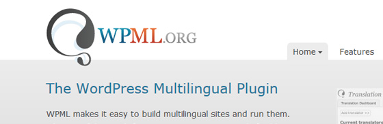 WordPress Multilingual Plugin