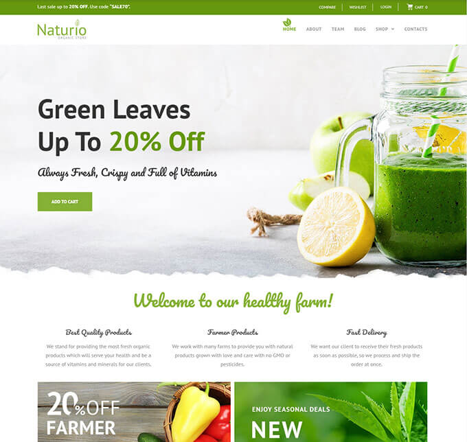 Naturio Food Store Template Elementor