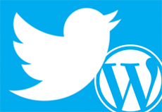 Твитты в WordPress