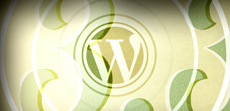 Wordpress 3.3